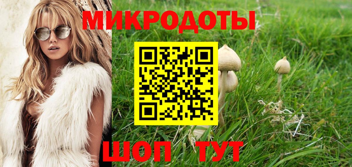 Псилоцибиновые грибы MAGIC MUSHROOMS  Галлюциногенные грибы мухоморы  Домодедово  Вход с VPN 